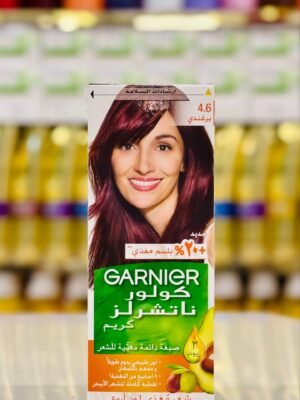 صبغة غارنييه كولور ناتشرلز 4.6 40 مل
