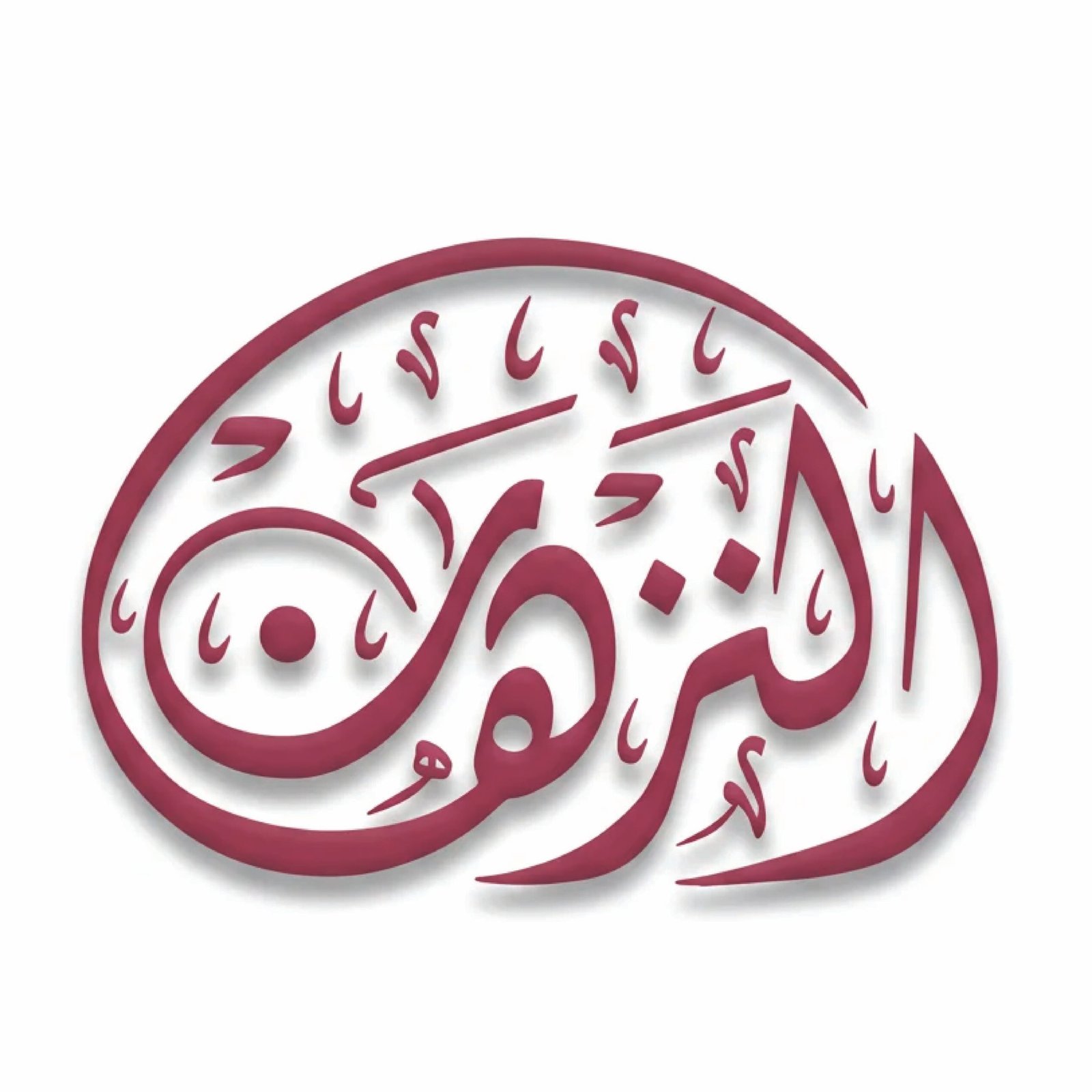 أيقونة تطبيق متجر النزهان